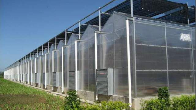 温室大棚阳光板的优势和作用？