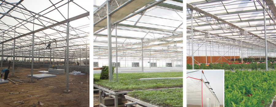 农业温室大棚PC阳光板案例